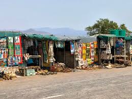 Image result for Syzygium komatiense