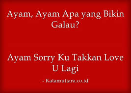 Seberat apapun masalahmu, jangan ditimbang. Kata Kata Lucu Tentang Ayam Yang Bikin Ngakak