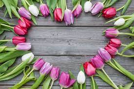Flowers That Represent Death Flower Meaning