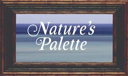 2026 Gala: Nature’s Palette