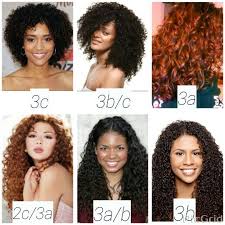 Hair Type Chart Shows Textures 2c 3c Hairinfo Hairtype