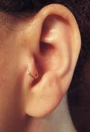 Best Piercing Nose Small Tragus Earrings 25 Ideas Ear Piercings Tragus Tragus Piercing Earrings Piercings
