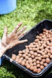 Seed Balls Eat Drink Garden Santa Barbara California Seed Balls Wildflower Seeds Seeds