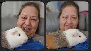 Warning about player cat Carl and his behavior