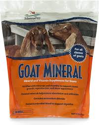 At a year old, a female goat is a doe or nanny. Amazon Com Manna Pro Goat Mineral Made With Viatimins Minerals To Support Growth 8 Pounds Pet Care Products Pet Supplies