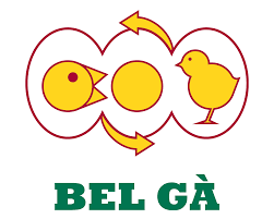 Chứng nhận Global G.A.P - Bel Gà