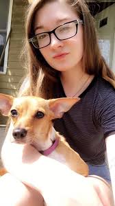 This is Penny Lane and Gizmo(tri colored)half sisters. Spending a week  together.