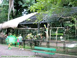 Entrevistas, análises e opinião e muito mais. Jardim Zoologico Rio De Janeiro Rio Zoo
