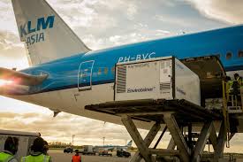 Revisa los horarios actualizados de salida y llegada de los vuelos latam. Klm Transporto Vacunas Contra El Covid 19 A La Argentina Alnnews