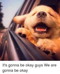 It S Gonna Be Okay Guys We Are Gonna Be Okay Okay Meme On Me Me