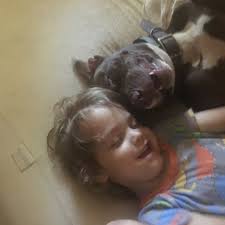 2nd pic. 100%. Unrelated but I should get around to actually watching  Frieren.