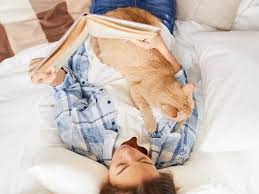 Why Do Cats Lay On Top Of You It S Actually A Huge Compliment Cat Body Cat Sitting Books To Read For Women