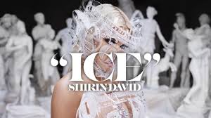The latest tweets from @shirindavid Shirin David Ice Lyrics Genius Lyrics