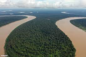 Check spelling or type a new query. Bird S Eye View Drone Photos Of The Amazon Rainforest Insider