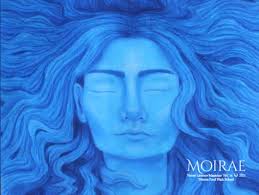 2022 SIPA's Best Visual Contest