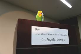 Exotic bird and pet clinic. Contact Us Avian Exotic Animal Clinic