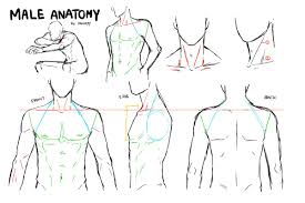 Cartoon body formulasthe drawing website the drawing website. Tumblr Mbhi7kcvbj1qgvtt4o2 1280 Jpg 1200 800 Drawing Male Anatomy Guy Drawing Drawings