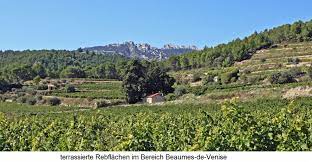 Situation, nature, histoire, monuments, célébrités, bonnes adresses. Weine Und Produzenten Aus Frankreich Rhone Beaumes De Venise Aoc Wein Plus Wein Regionen