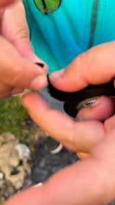 A qué no sabías esto del Aislante eléctrico #fblifestyle