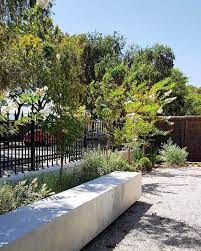 This Avenue Of Crepe Myrtle Mediterranean Inspired Underplanting And Insitu Concrete Bench From Last Concrete Bench Outdoor Concrete Bench Public Landscaping