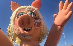 Joice cristina hasselmann (born 29 january 1978 as joice cristina bejuska) is a brazilian politician, journalist, writer, activist and political commentator. Manifestacao De Bolsonaristas Pelo Voto Impresso Usa Boneca Da Peppa Pig Espancada Para Atacar Joice Hasselmann Polemica Paraiba Polemica Paraiba