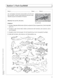 Ich hoffe, du hast nun einen guten überblick über den sachtext, seine merkmale, funktionen und die besonderheiten von verschiedenen arten von sachtexten erhalten. Sekundarstufe Unterrichtsmaterial Biologie Tiere