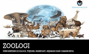 Maybe you would like to learn more about one of these? Pengertian Zoologi Tujuan Manfaat Sejarah Dan Cabangnya