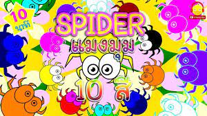 เพลงแมงม มลาย 10ต ว 10ส น นน าร กจ ง thai spider song เพลงเด กอน บาล เพลง