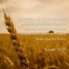 Pin By Tiempo De Buscar A Dios Mipaz On Reflexiones Cristianas