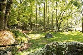 The One Place To Sleep In Georgia That S Beyond Your Wildest Dreams Best Places To Camp Camping Places Camping Photo