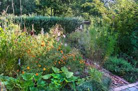Hostas look in contrast with these perennial plants having different shapes, textures, and colorful flowers. Annuals Biennials And Perennials 3 Plant Types You Need To Know