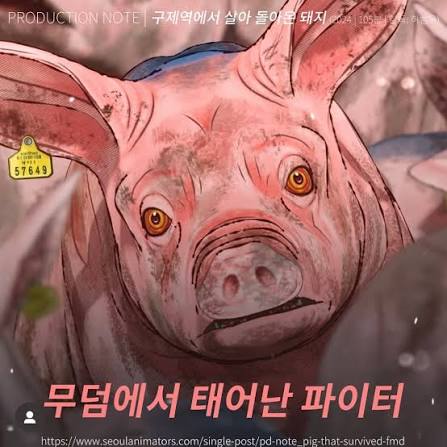 지난 1월 망원동에서, 서울엔애니메이터(SEOUL&ANIMATOR) 이경화, 나호원님과 함께 <구제역에서 살아 돌아온 돼지>를 비롯한 저의 작품 전체를 되돌아보는 아주 긴 인터뷰를 했습니다. 이렇게 저의 애니메이션 역사를 한번에 쭉 인터뷰 하는 것은 처음이라 여러모로 의미가