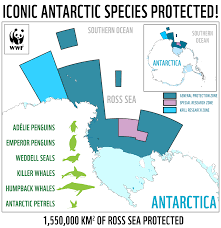 The ross sea is one of the most pristine marine ecosystems left on earth, and home to many species found nowhere else, said us scientist david ainley, who was the first to call for a marine protected area 14 years ago. Antarctic Protection A Beacon Of Hope For Ocean Conservation Globally Wwf