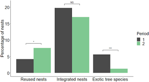Image result for Neoboutonia melleri