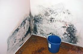 Comment Eliminer Les Moisissures Qui Envahissent La Maison Trucs Et Astuces Maison Enlever Les Moisissures Taches De Moisissure