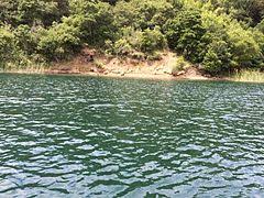 Birds, bees, flowers, rabbits, coyotes,… Briones Reservoir Wikipedia
