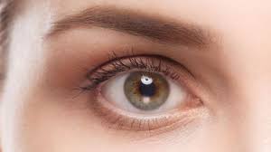 In a cancer to cancer pairing, domestic living is all part of the happily ever after scene. Eye Cancer Irish Cancer Society