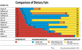Fat And Oil No Fructose