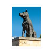 Prepaid Postcard - Big Blue Heeler - Aussie Big Things