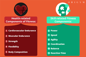 11 Components Of Fitness Health Skill Related 2019 Guide