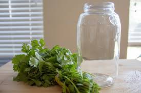 We did not find results for: How To Store Fresh Cilantro So It Lasts Longer In The Fridge