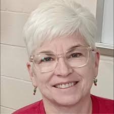 Centennial school district board behavior criticized as unprofessional