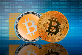 At the time of writing this article, bitcoin has been flying up 35% in the last 10 days. Discover Bitcoin Cash Bch Bitcoin S Most Famous Cousin Cryptocurrencies Personal Financial
