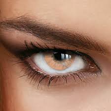 Jeden tag neue deals farbe kontaktlinsen braun. Kontaktlinsen Farbig Hellbraun Test Vergleich 2021 7 Beste Jahreslinsen