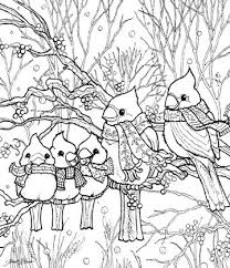 Adult Coloring Cardinal Family Bird Coloring Pages