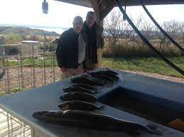 We've had an absolute blast, catching both great quantities and sizes of fish! Hutch S Guide Service Game Farm And Guide Service Listing In South Dakota Huntspotz Your Hunting Land Guide