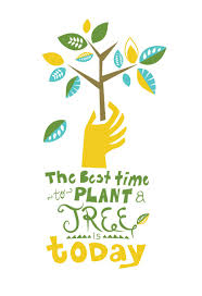 Trees are a great boon to us from good. Plant A Tree Poster Designed By Leah Wiegmann Environmental Posters Earth Day Posters Recycle Poster