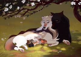 New Life By Tazihound Anime Wolf Drawing Canine Art Anime Wolf