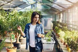 Maybe you would like to learn more about one of these? The 10 Best Garden Centers And Nurseries In Kentucky