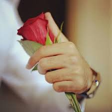 Nossas Maos Guardam Sempre Aromas Em Tudo Que Tocaram Most Beautiful Flowers Red Roses Hand Flowers